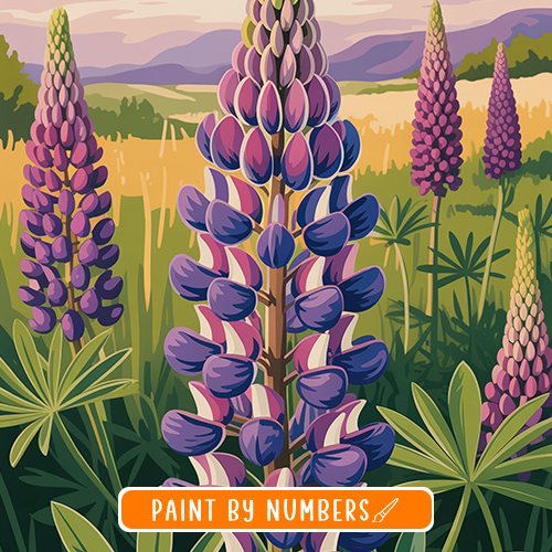 US Wildflowers Paint-by-numbers