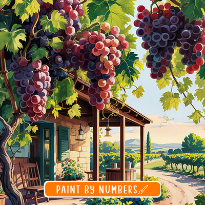 Wine Country