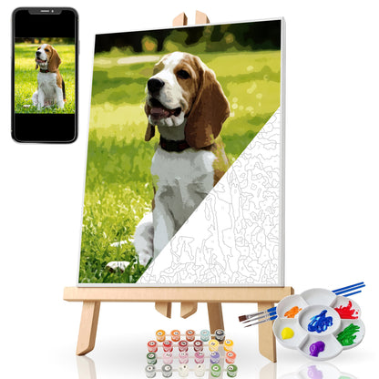Custom Pet Paint by Numbers Kit