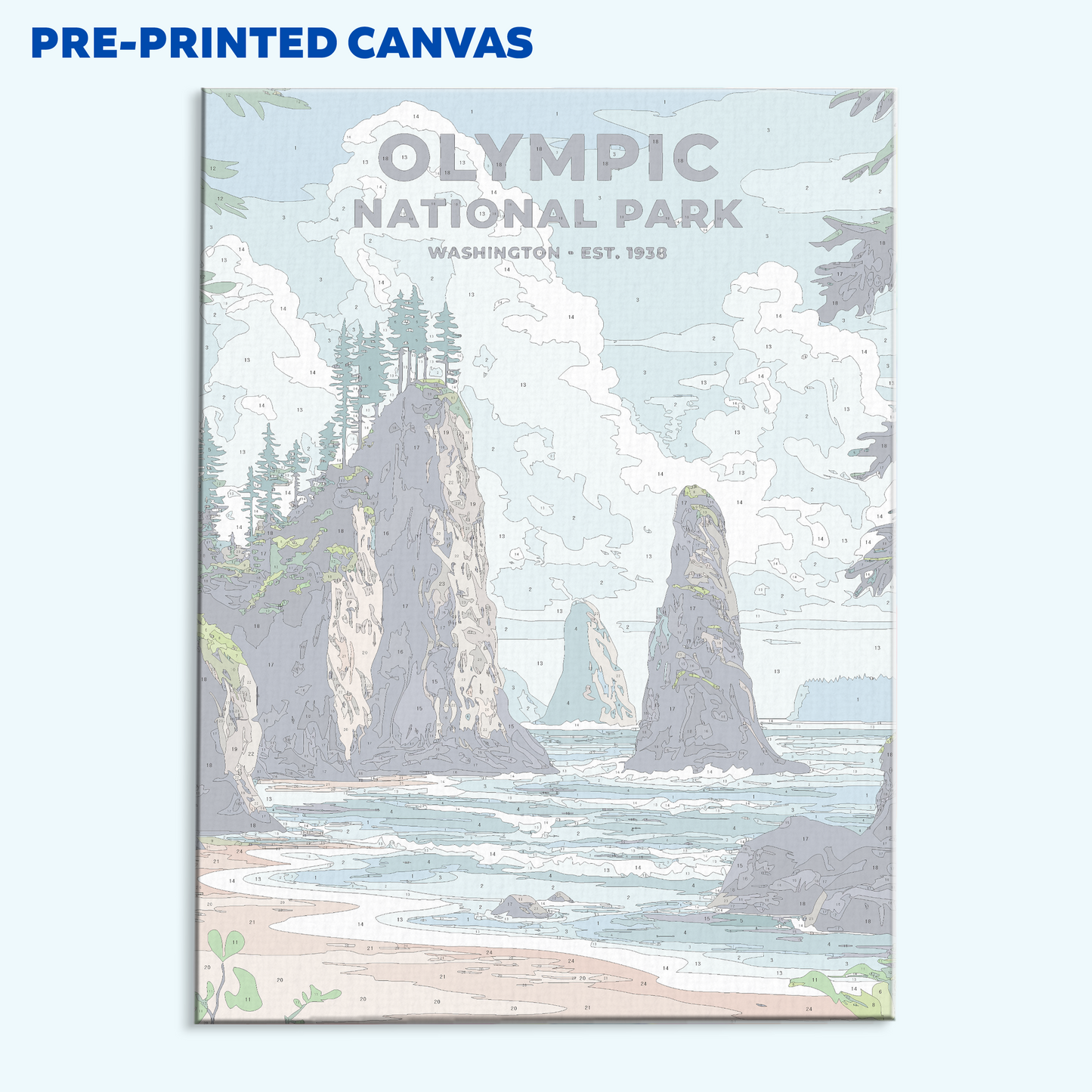 Olympic National Park Heritage Edition | Paint by Numbers Kit
