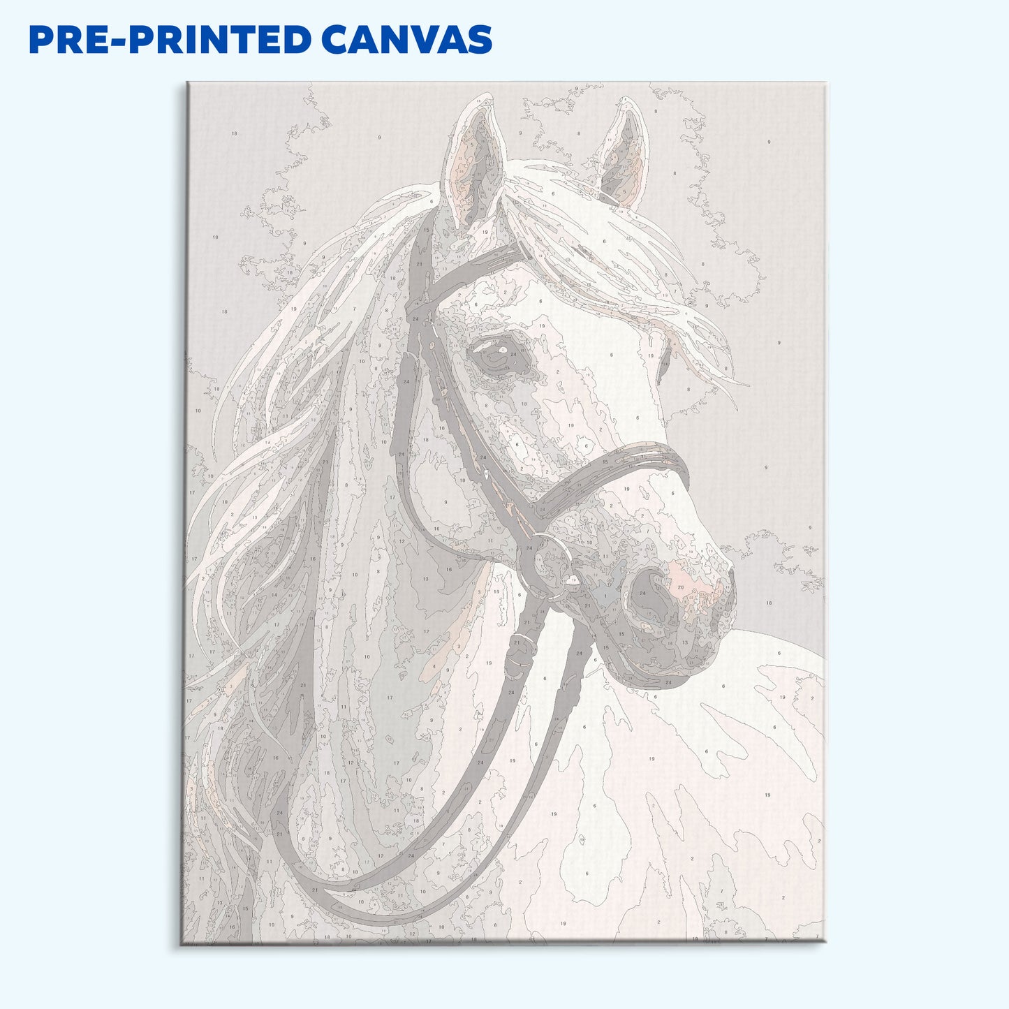 Silent White Horse| Paint by Numbers Kit