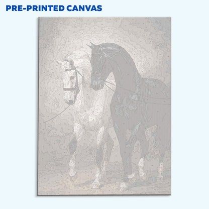 Harmony in Contrast Horse | Paint by Numbers Kit