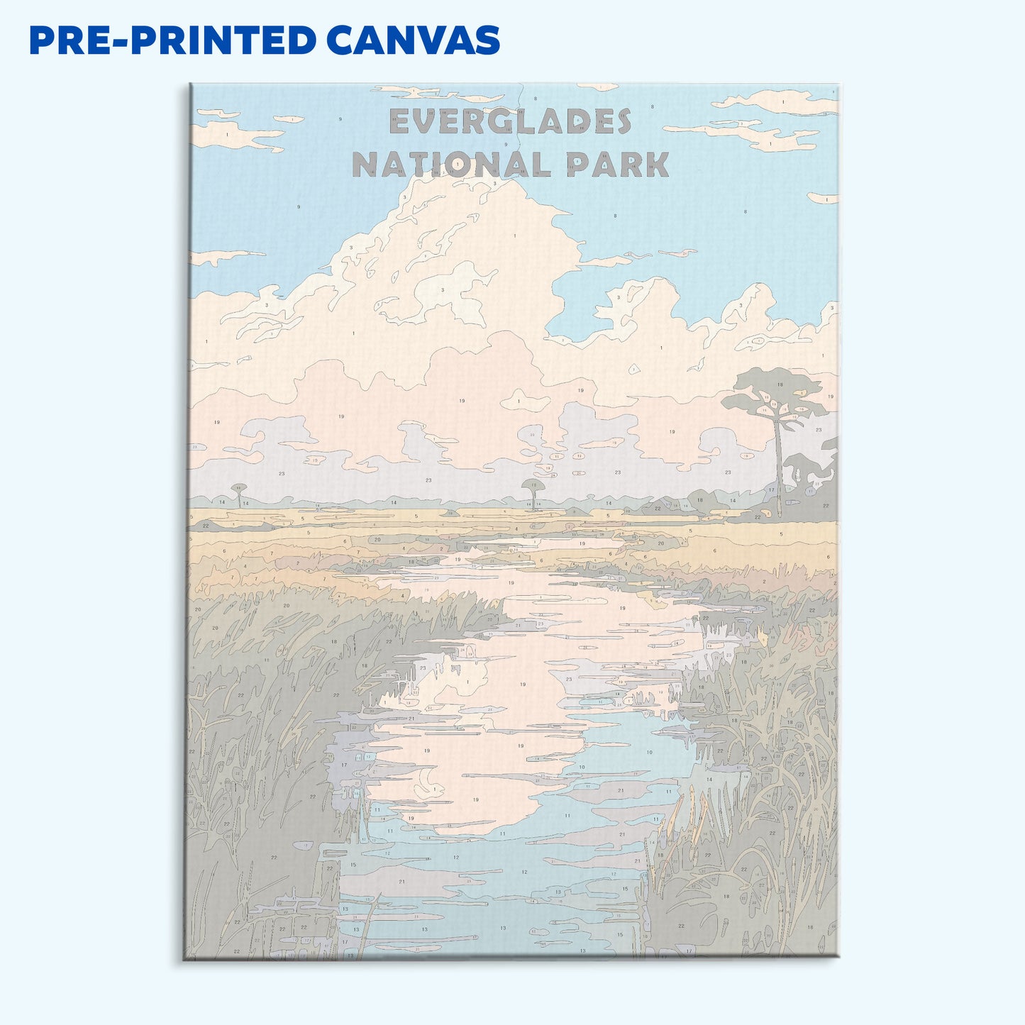 Everglades National Park | Paint by Numbers Kit