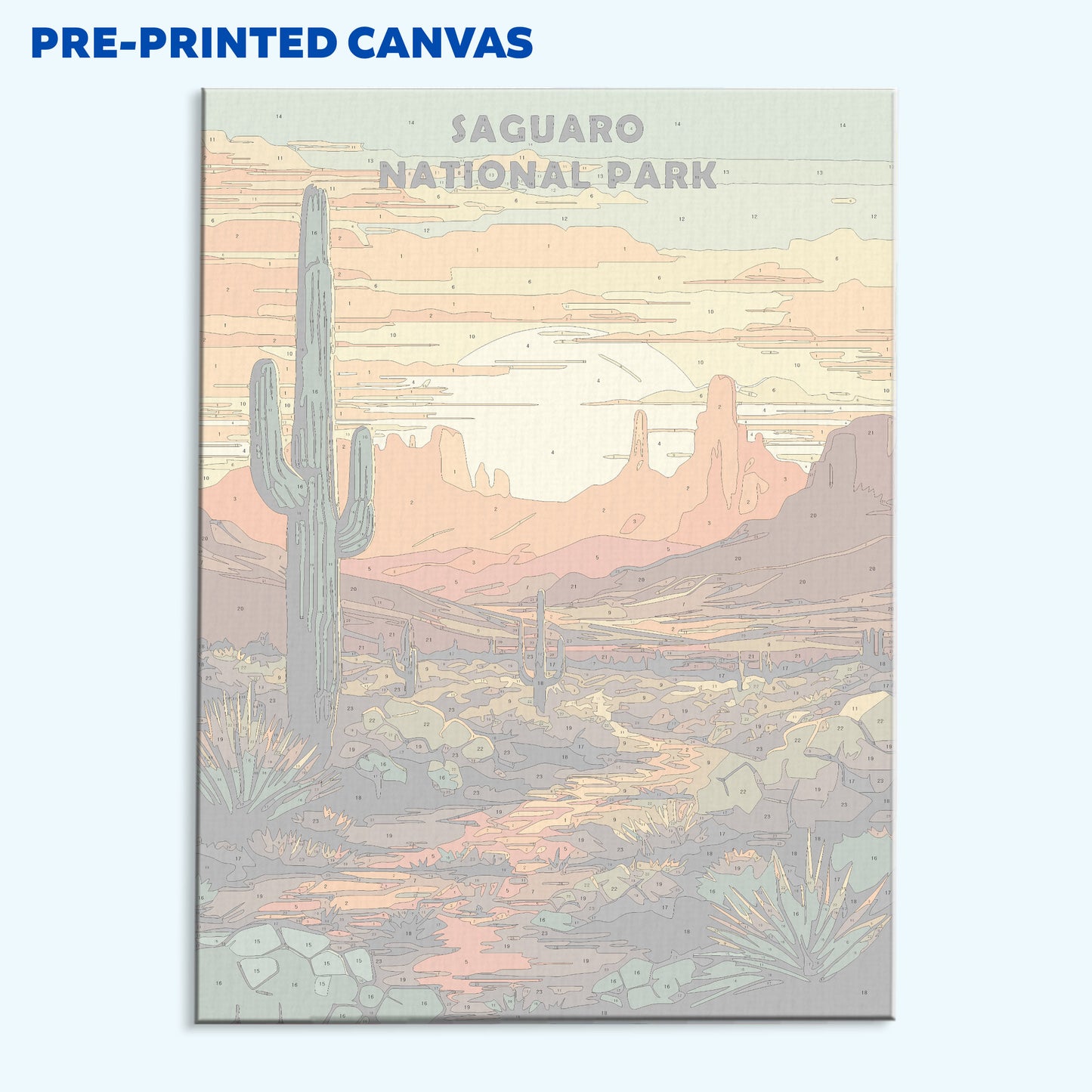 Saguaro National Park | Paint by Numbers Kit
