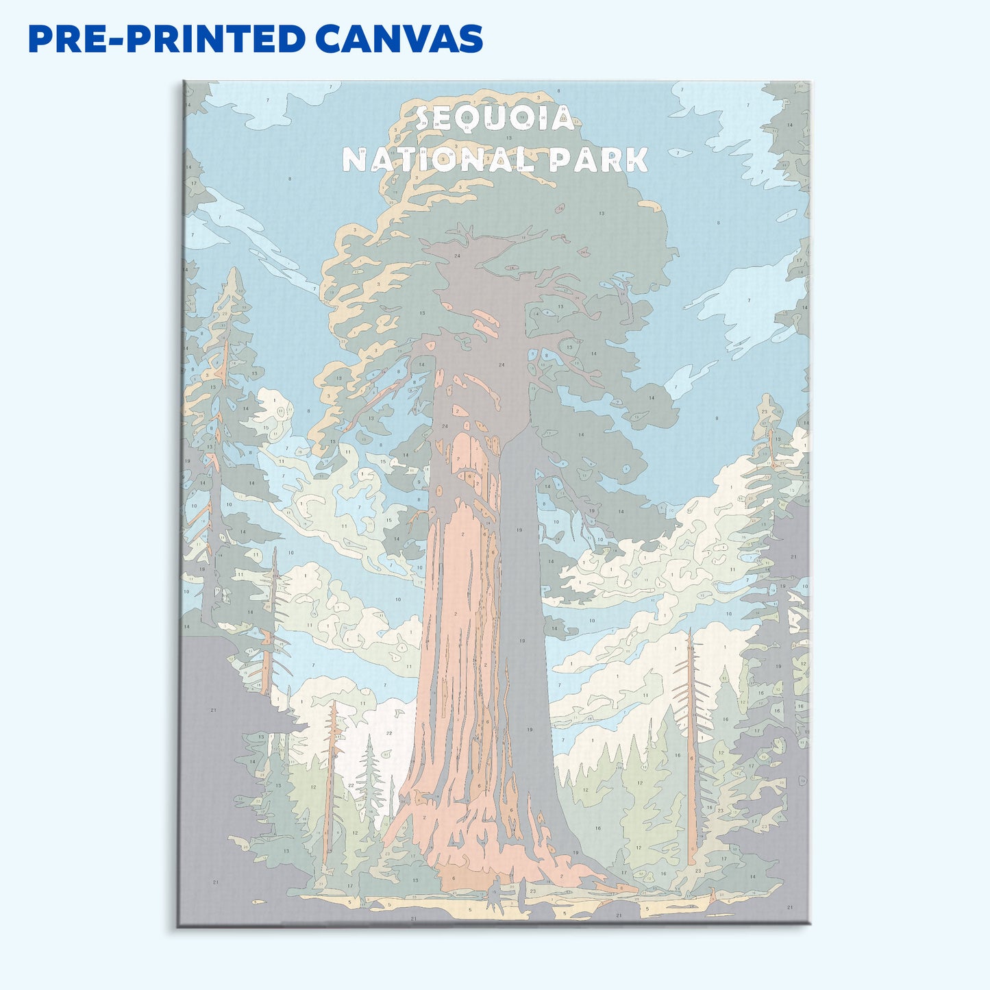 Sequoia National Park | Paint by Numbers Kit