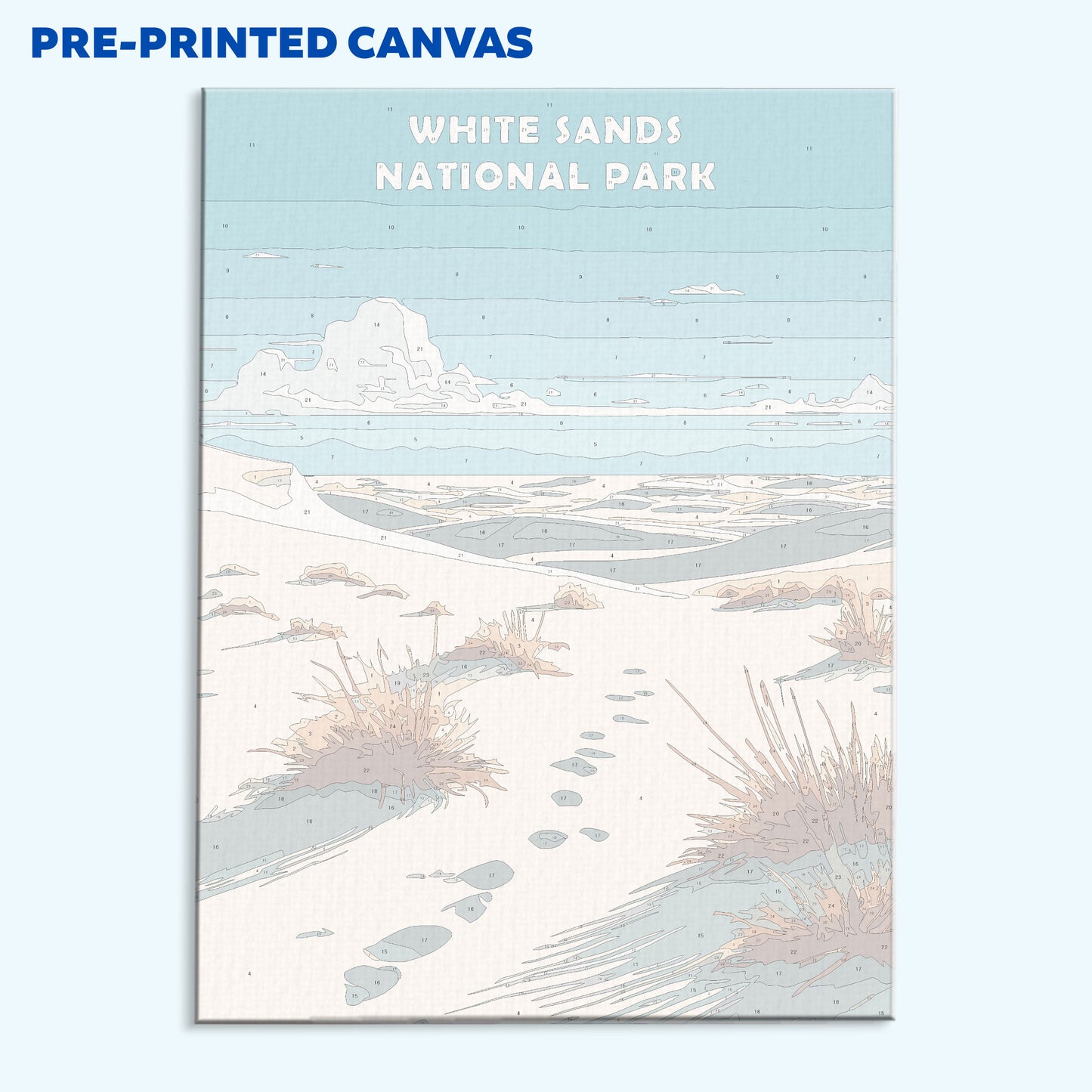 White Sands National Park | Paint by Numbers Kit