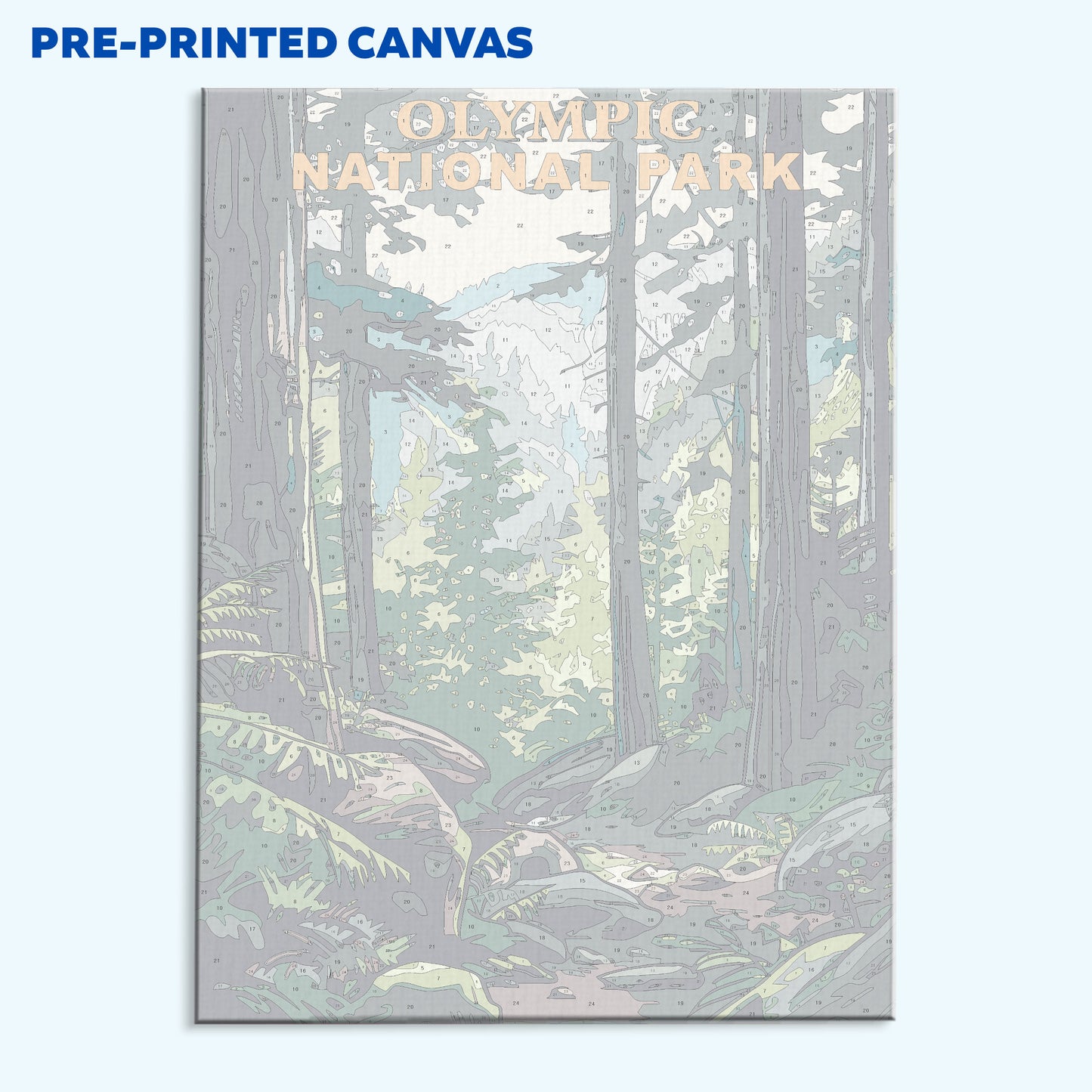 Olympic National Park Vintage | Paint by Numbers Kit