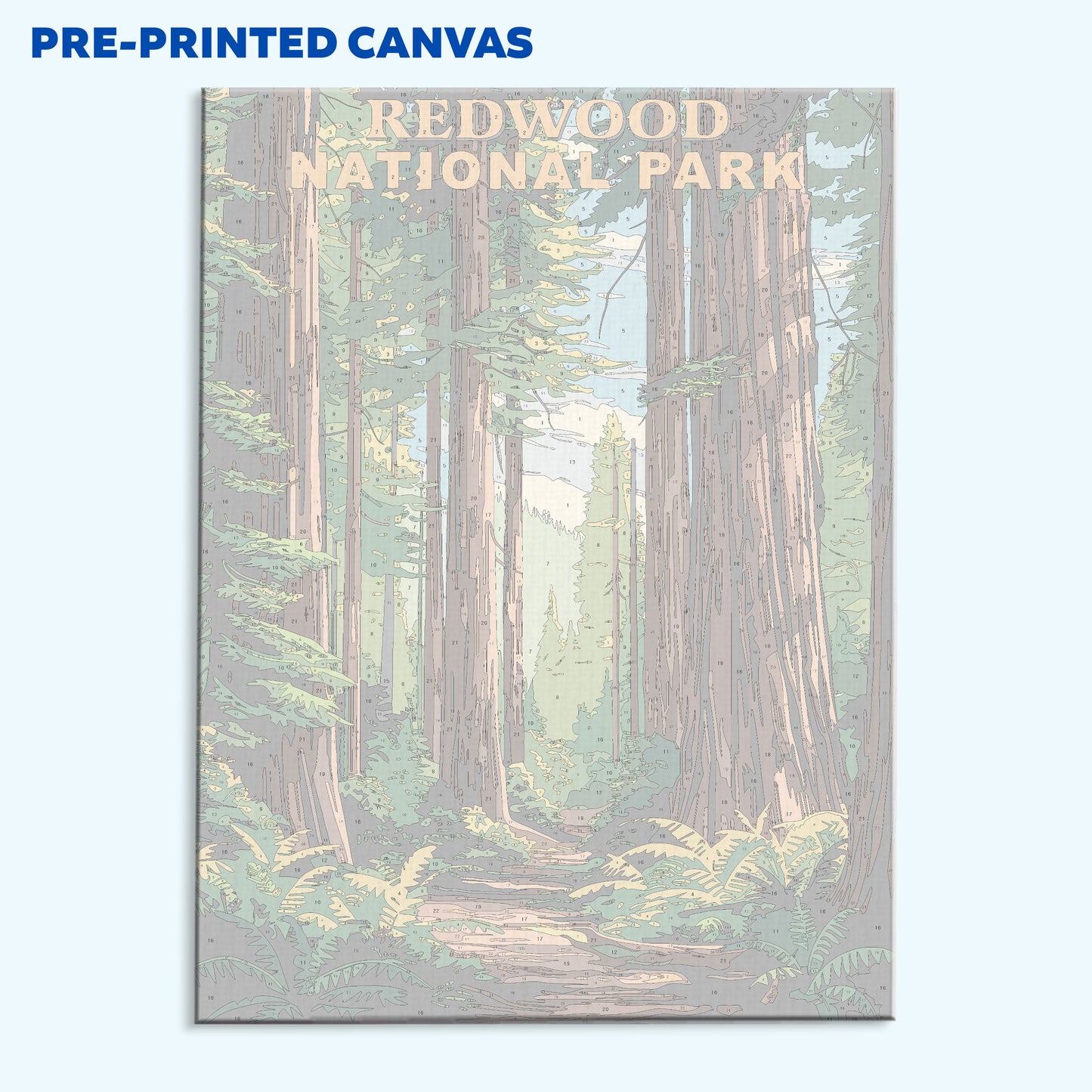 Redwood National and State Parks Vintage | Paint by Numbers Kit