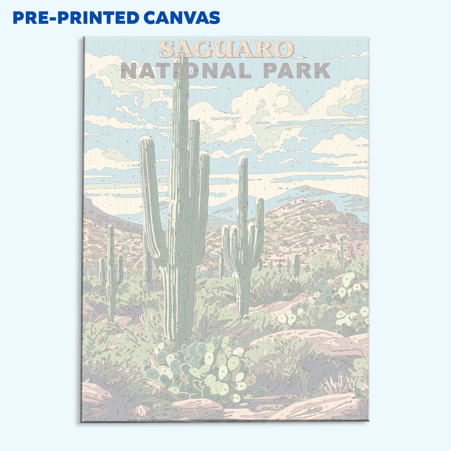 Saguaro National Park Vintage | Paint by Numbers Kit
