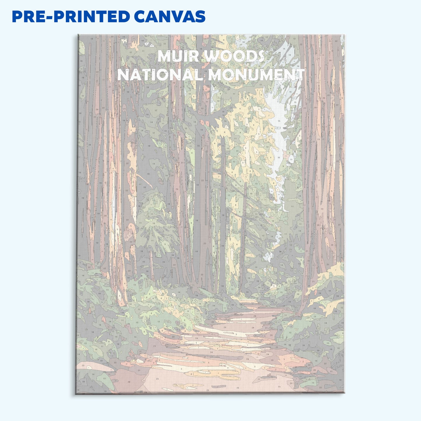 Muir Woods National Monument | Paint by Numbers Kit