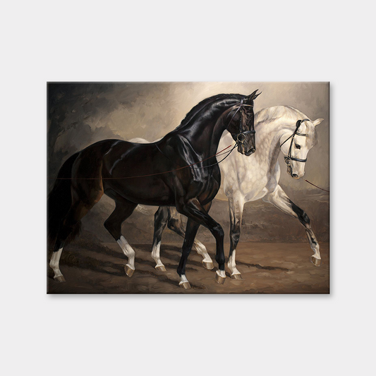 Black & White Horses Duo Diamond Painting