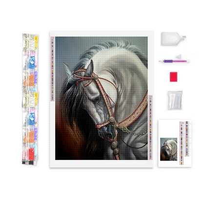 Equestrian Horse Elegance Diamond Painting
