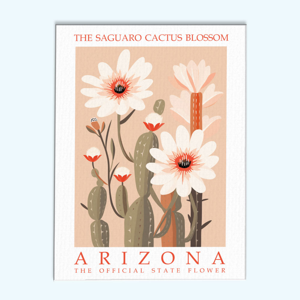 Arizona State Flower - Saguaro Cactus Blossom | Paint by Numbers Kit