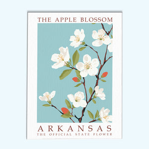 Staatsblume von Arkansas – Apfelblüte | Malen nach Zahlen-Set