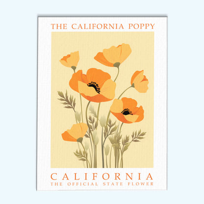 California State Flower - California Poppy | Paint by Numbers Kit