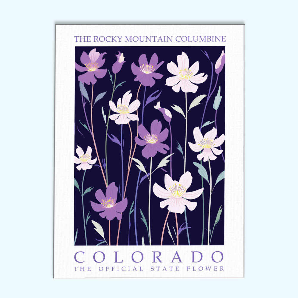 Colorado State Flower - Rocky Mountain Columbine | Paint by Numbers Kit