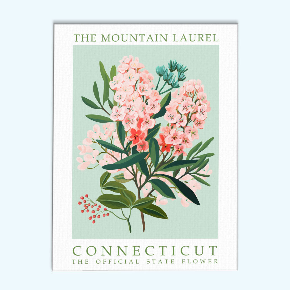 Connecticut State Flower - Mountain Laurel | Paint by Numbers Kit