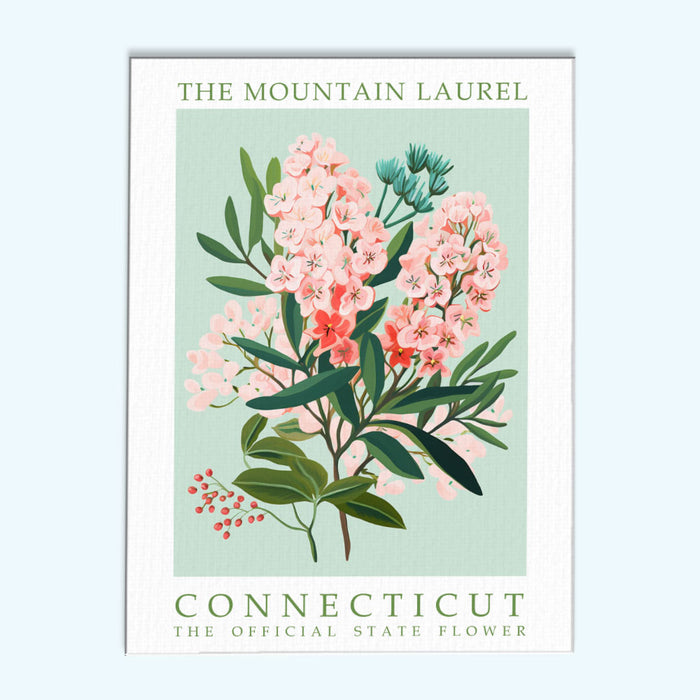 Connecticut State Flower - Mountain Laurel