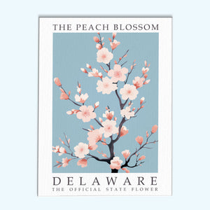 Delaware State Flower - Peach Blossom | Paint by Numbers Kit