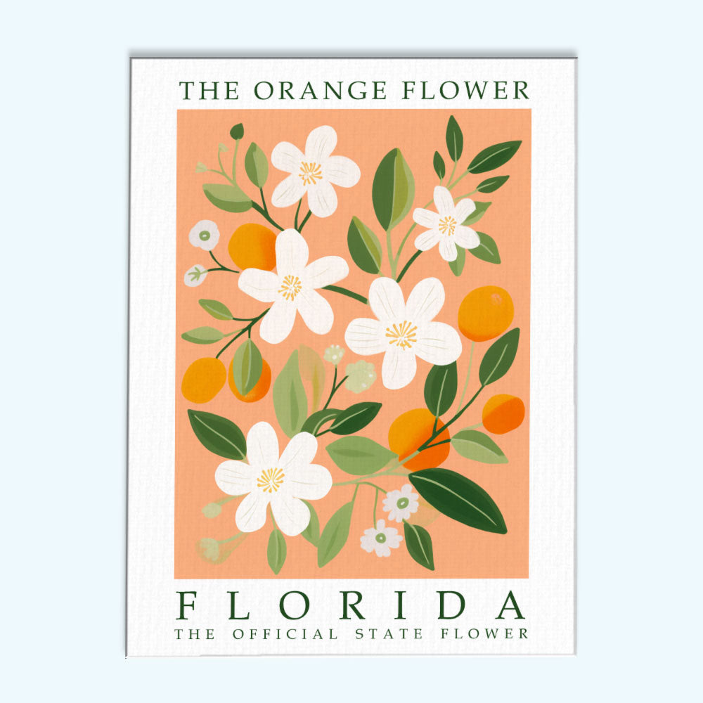 Florida State Flower - Orange Flower | Paint by Numbers Kit