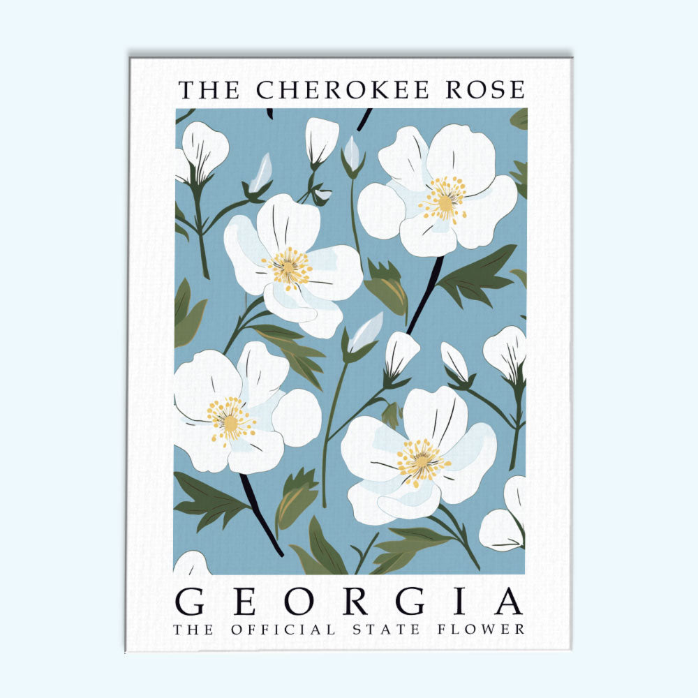 Georgia State Flower - Cherokee Rose | Paint by Numbers Kit