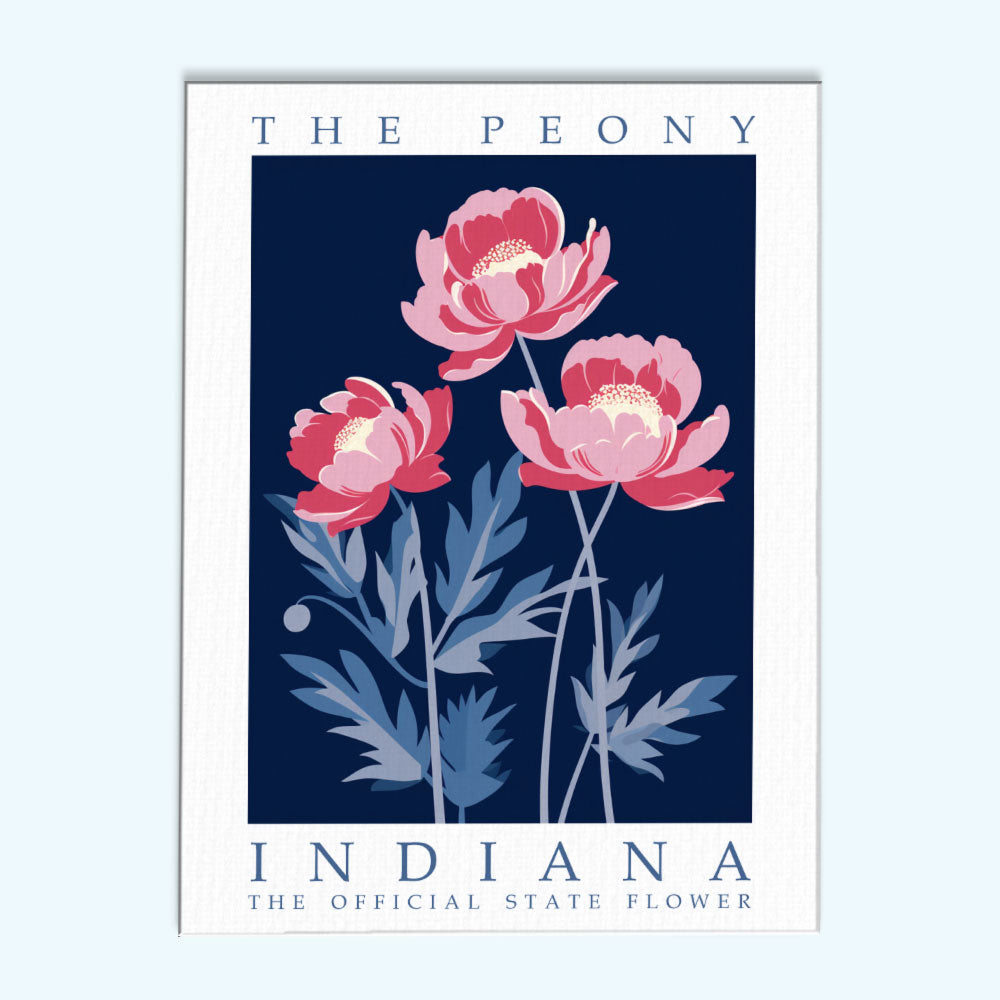 Indiana State Flower - Peony | Paint by Numbers Kit