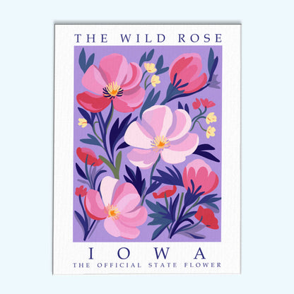 Iowa State Flower - Wild Rose | Paint by Numbers Kit