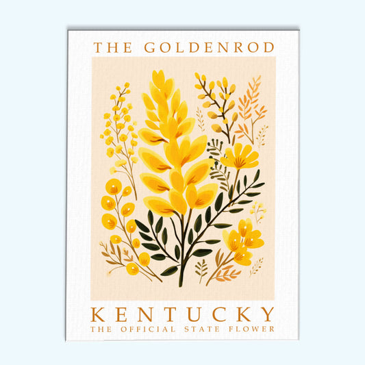 Kentucky State Flower - Goldenrod | Paint by Numbers Kit