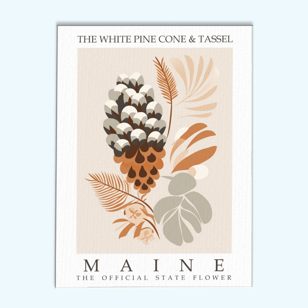 Maine State Flower - White Pine Cone and Tassel | Paint by Numbers Kit