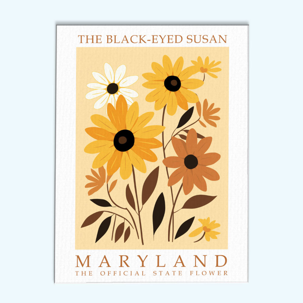 Maryland State Flower - Black-eyed Susan | Paint by Numbers Kit