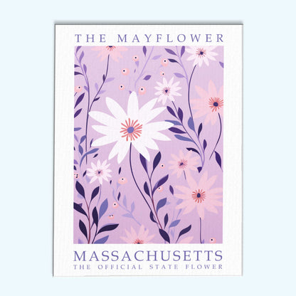 Massachusetts State Flower - Mayflower | Paint by Numbers Kit