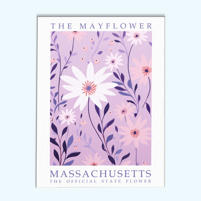 Massachusetts State Flower - Mayflower