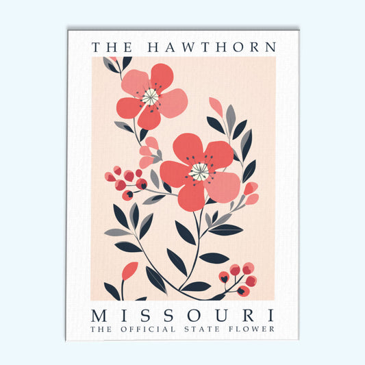 Missouri State Flower - Hawthorn | Paint by Numbers Kit