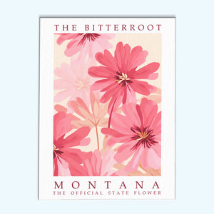 Staatsblume von Montana – Bitterwurzel | Malen nach Zahlen Set