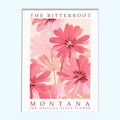 Montana State Flower - Bitterroot | Paint by Numbers Kit