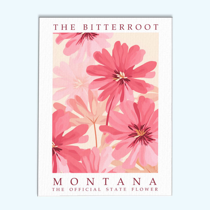 Montana State Flower - Bitterroot