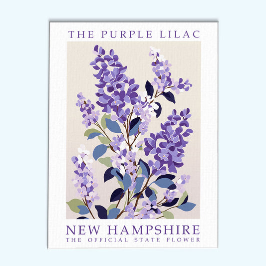 New Hampshire State Flower - Purple Lilac | Paint by Numbers Kit