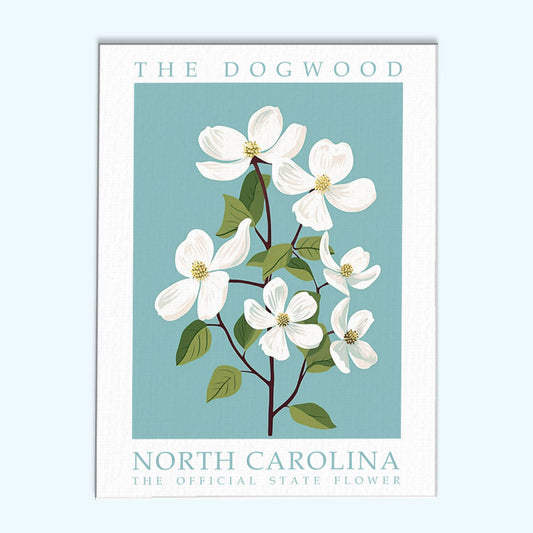 North Carolina State Flower - Dogwood | Paint by Numbers Kit