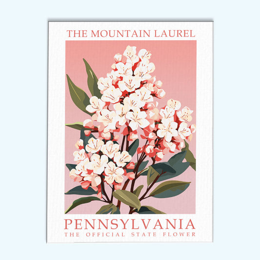 Pennsylvania State Flower - Mountain Laurel | Paint by Numbers Kit