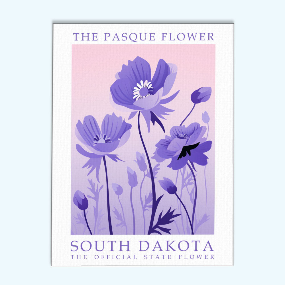 South Dakota State Flower - Pasque Flower | Paint by Numbers Kit