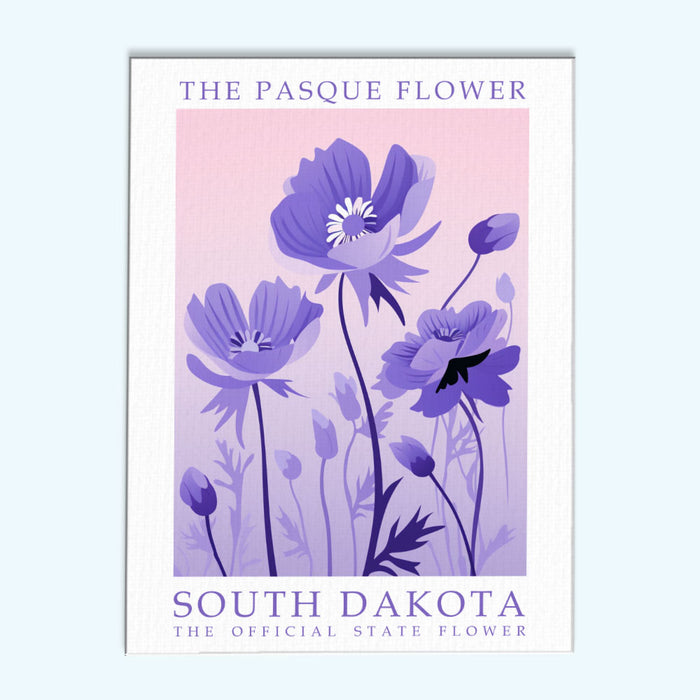 South Dakota State Flower - Pasque Flower