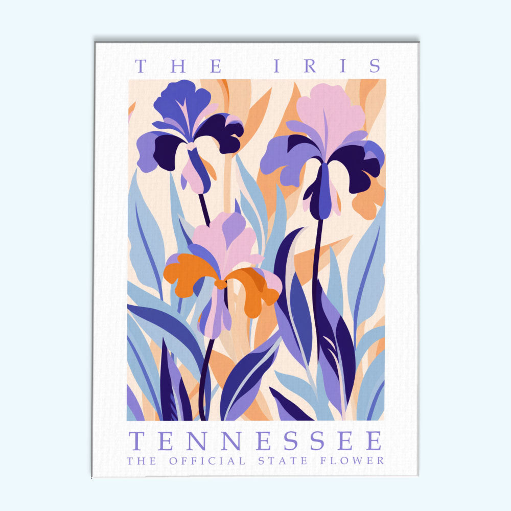 Tennessee State Flower - Iris | Paint by Numbers Kit