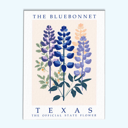 Texas State Flower - Bluebonnet | Paint by Numbers Kit