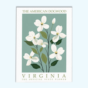 Staatsblume Virginias – Amerikanischer Hartriegel | Malen nach Zahlen Set