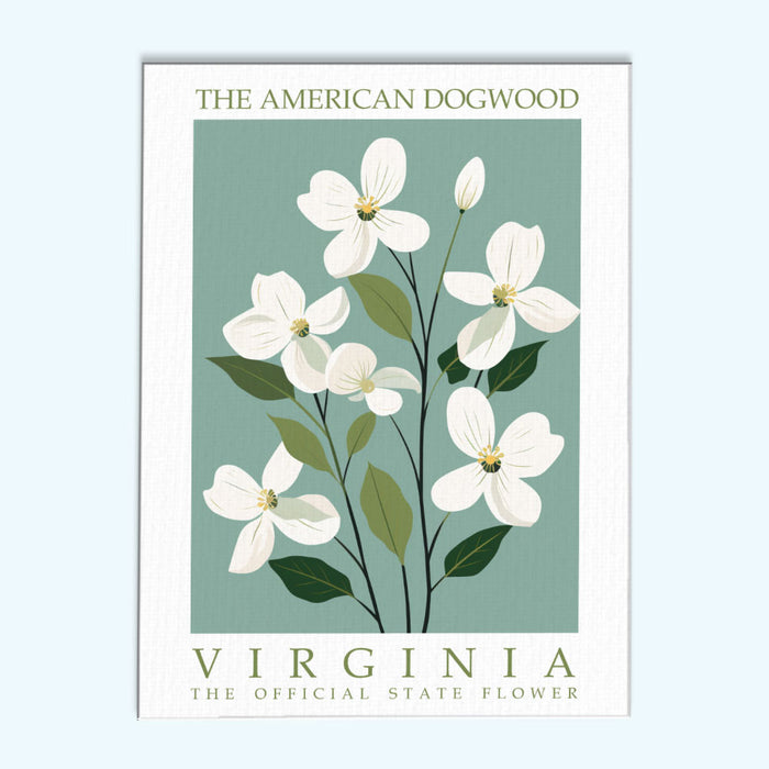 Virginia State Flower - American Dogwood