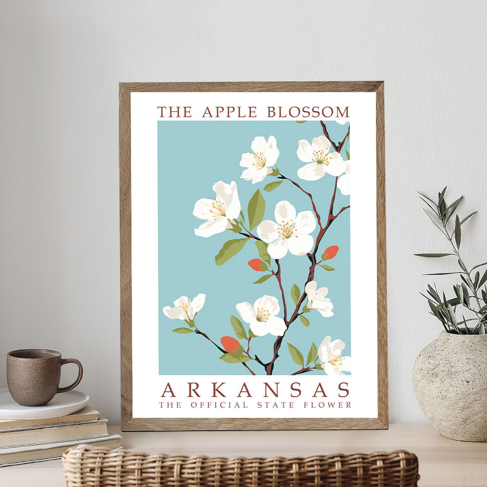 Arkansas State Flower - Apple Blossom | Paint by Numbers Kit