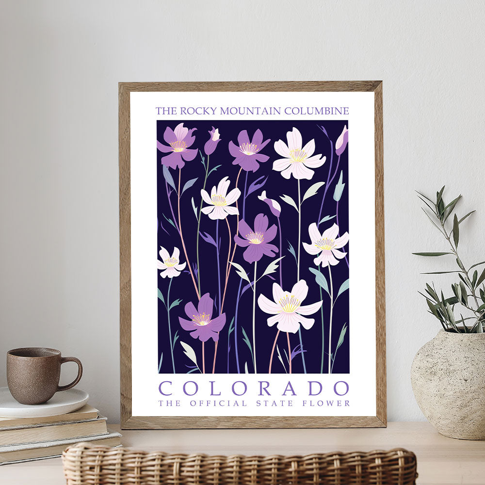 Colorado State Flower - Rocky Mountain Columbine | Paint by Numbers Kit