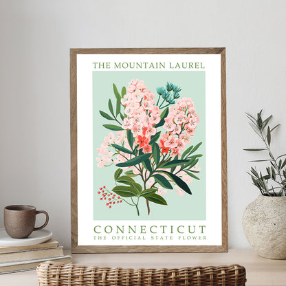 Connecticut State Flower - Mountain Laurel | Paint by Numbers Kit