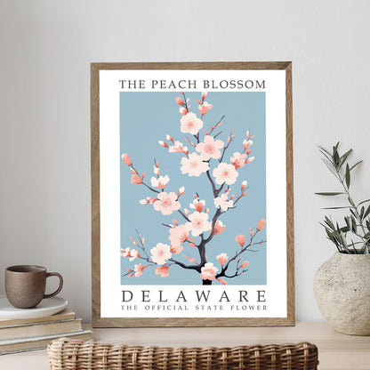 Delaware State Flower - Peach Blossom | Paint by Numbers Kit