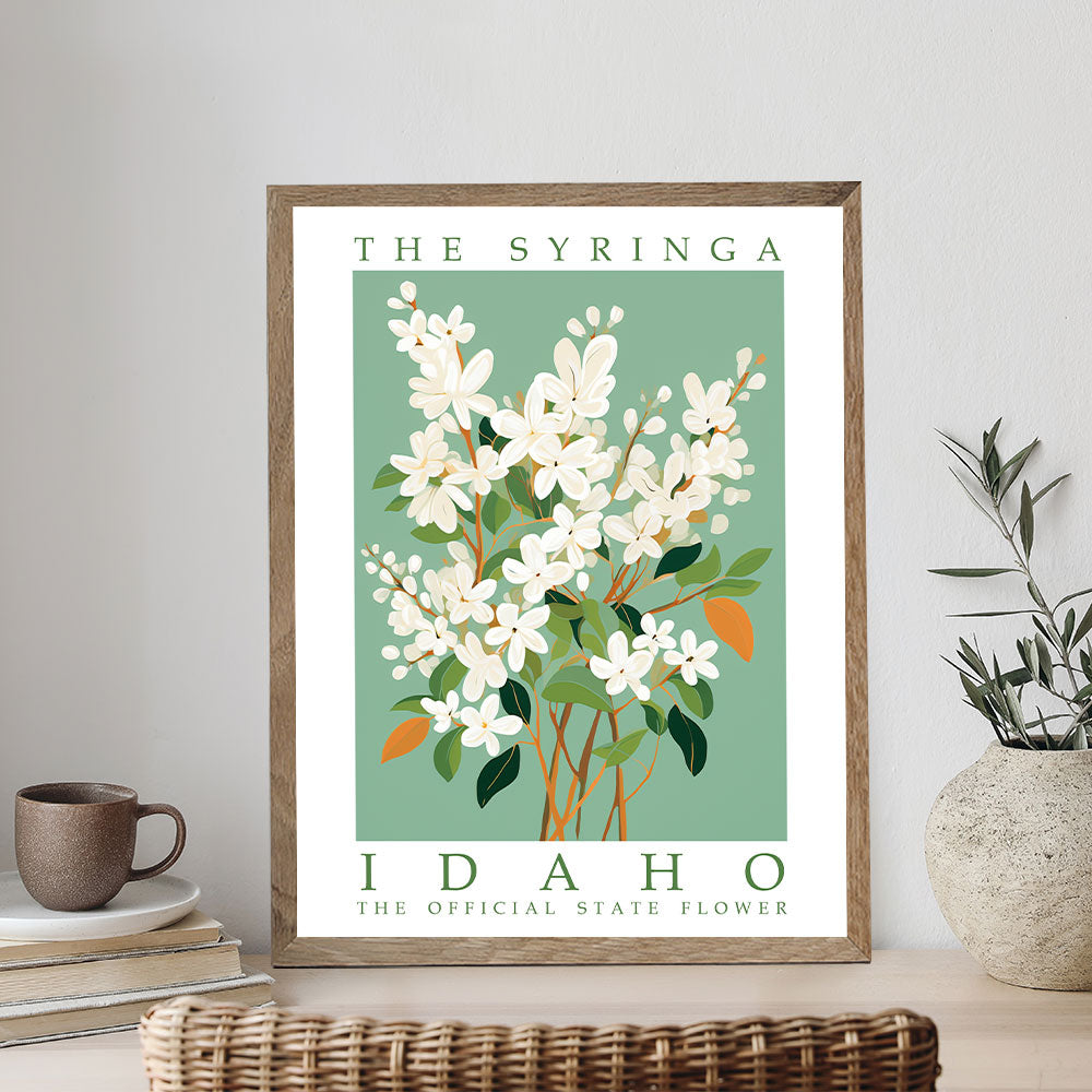 Idaho State Flower - Syringa | Paint by Numbers Kit